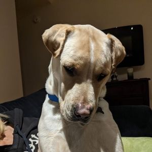 Meet your Posher, Daryl